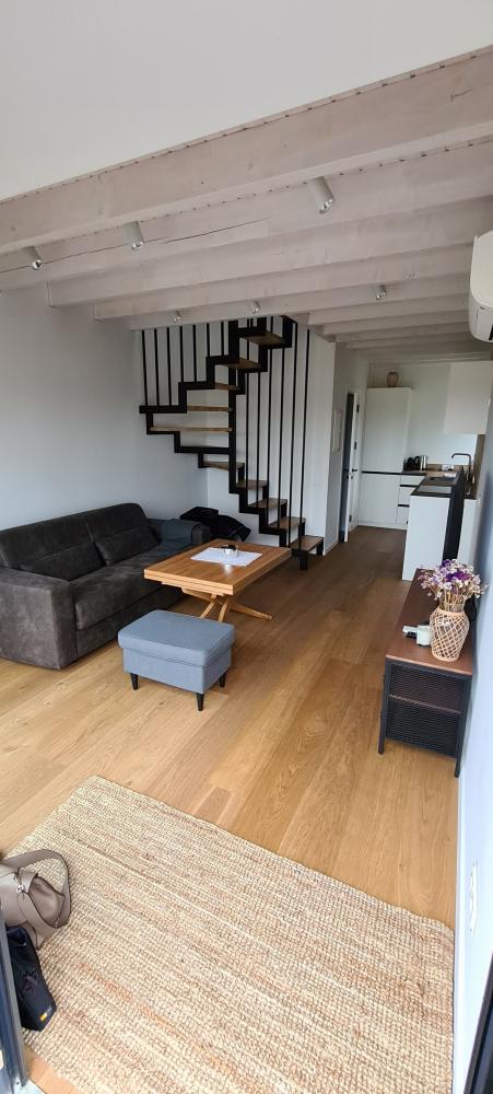 Nowo urządzone apartamenty „Svencelės sala”