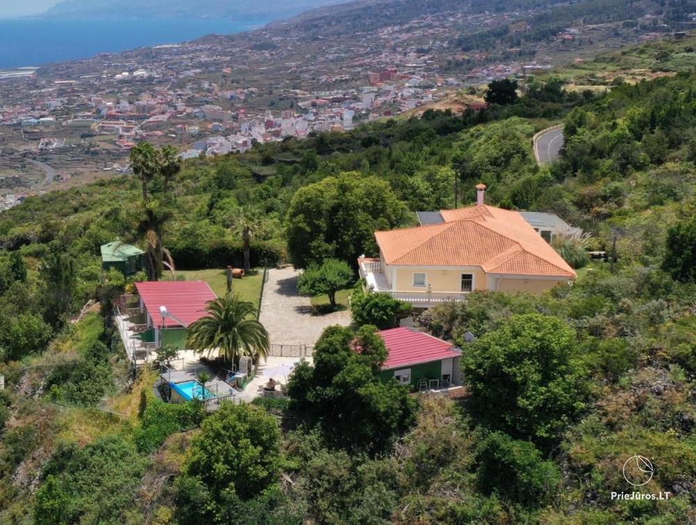 Apartament Palo Pique na Teneryfie