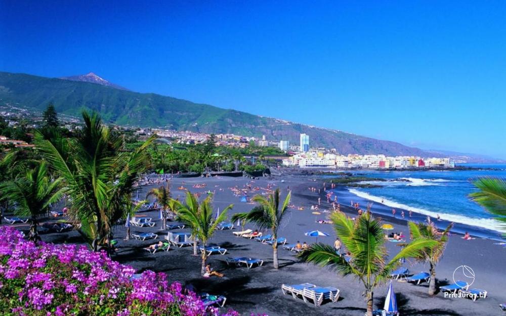Apartament Fantastico w regionie Puerto de la Cruz na Teneryfie