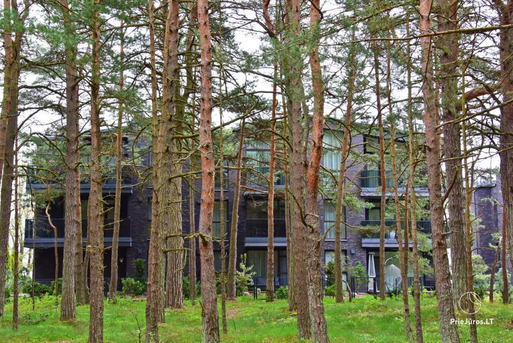 Nowe, przestronne apartamenty „Palangos Vilnele” otoczone sosnami, blisko morza z klimatyzacją i przestronnymi tarasami z widokiem na las sosnowy i morze