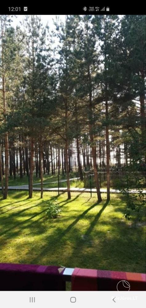 Apartament nad morzem w Kunigiškiai