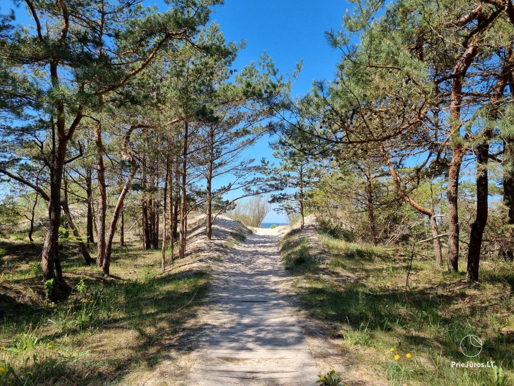 Nowe mieszkania w Kunigiskiai, blisko Bałtyku - Nendres 10