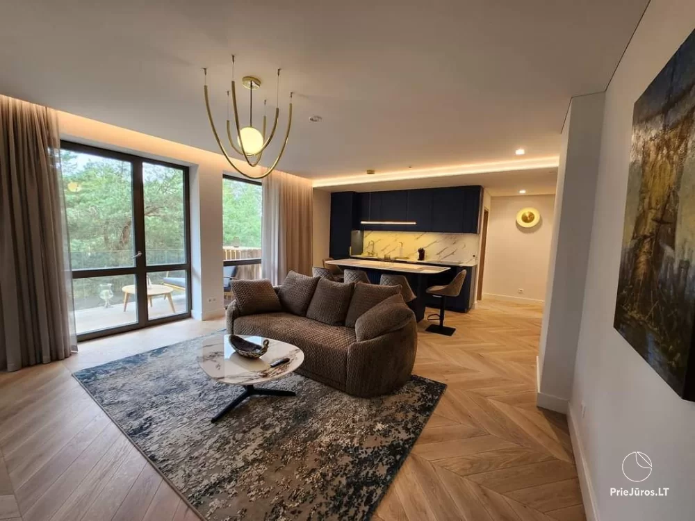 Przytulne i stylowo urządzone apartamenty do wynajęcia w nowej dzielnicy Marių Vētrungiu. - 1