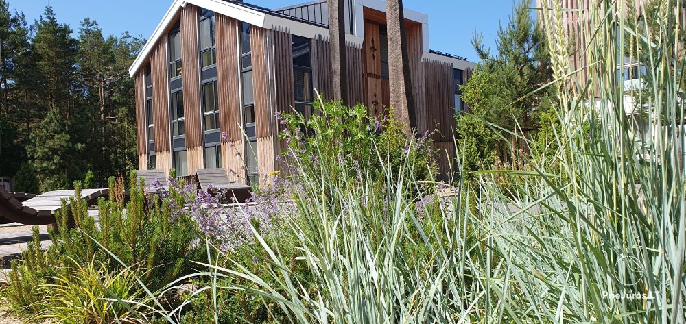 Apartamenty w Nidzie Kurėnas, Guboja,  Plunksna - 1