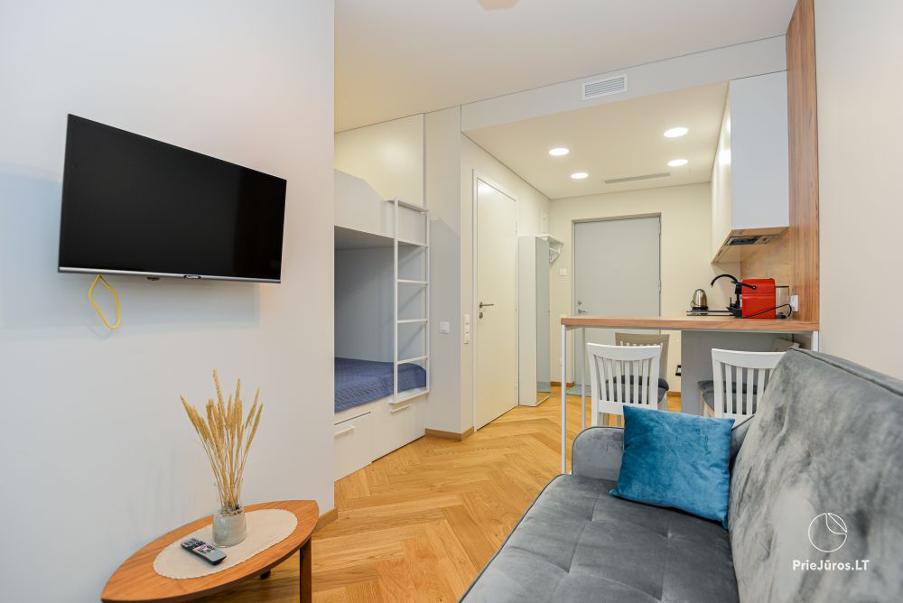 Wynajem przytulnego jednopokojowego mieszkania w Juodkrantė z sauną - 1