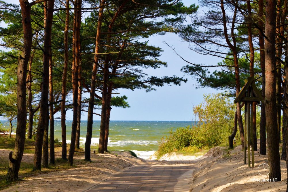 Domek do wynajęcia w Kunigiskiai