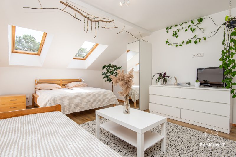 Apartamenty Bliżej natury do wynajęcia w Nidzie