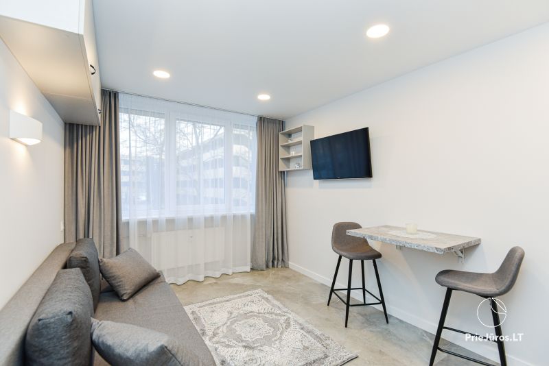 Ritos apartment - jednopokojowe mieszkanie do wynajęcia w Połądze