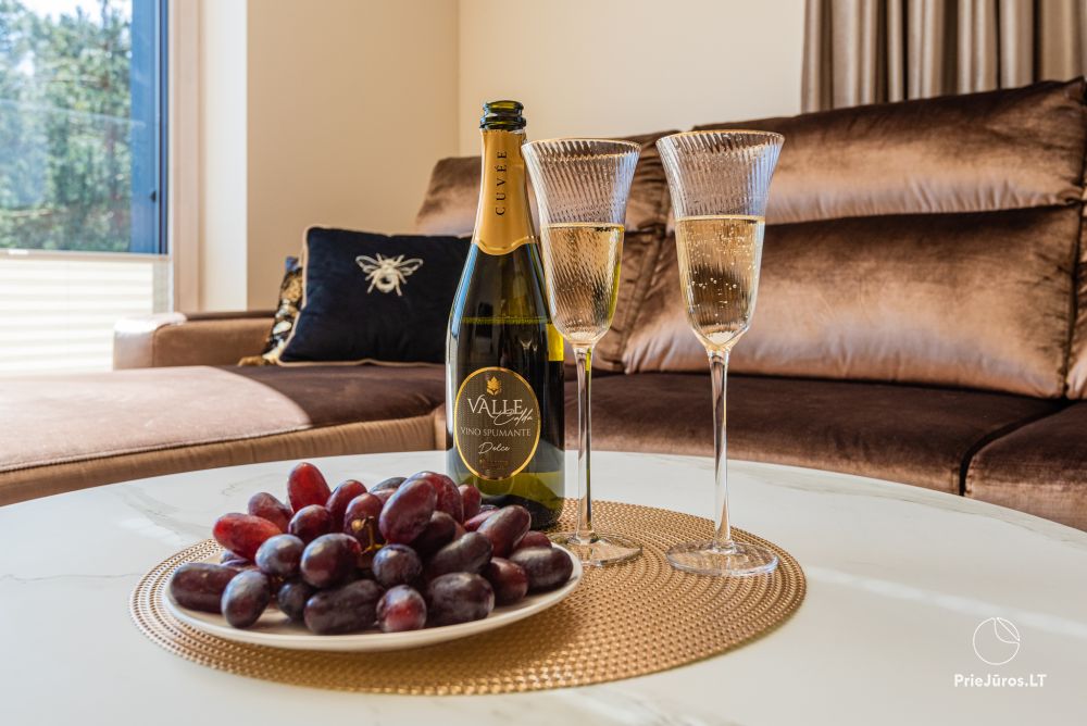 Nowy, przestronny apartament J&D w Połądze w pobliżu lasu sosnowego, 400 m do morza