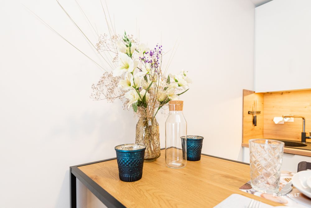 Apartament R15 w Sventoji