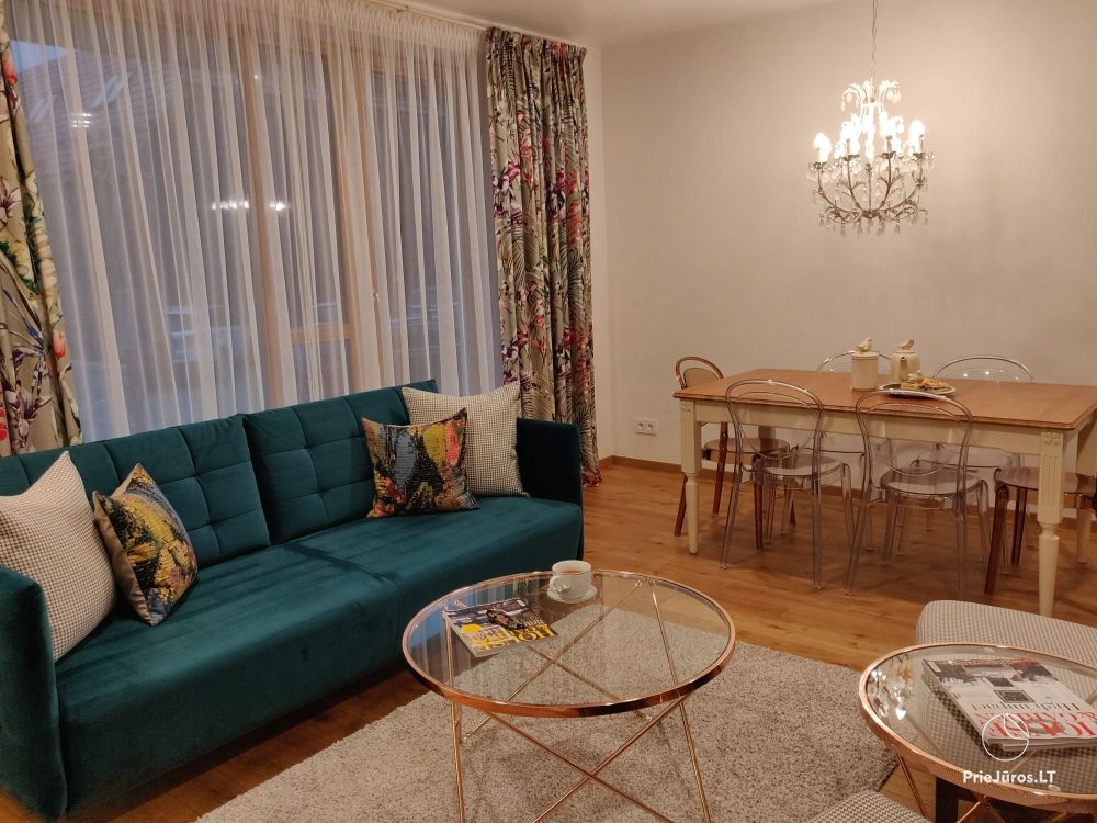 Kopų Vėtrungės II - Nida Apartments z tarasem do 6 osób - 1