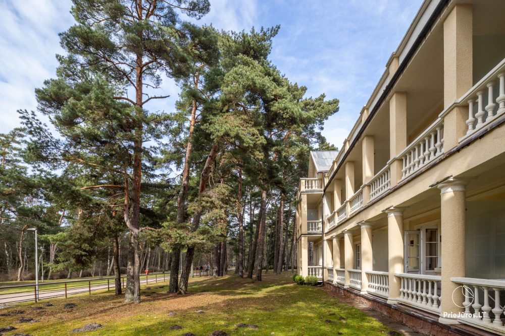 Meilės Alėja Home – Palanga – Studio dla dwojga w fantastycznej lokalizacji przy parku, 3 min do morza