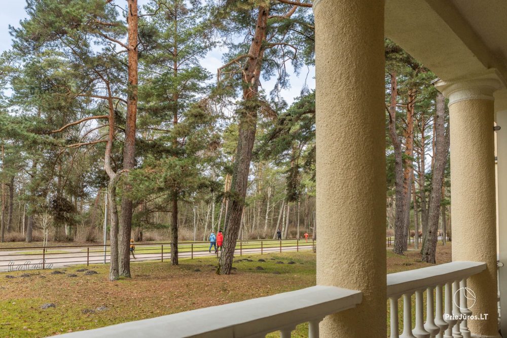 Meilės Alėja Home – Palanga – Studio dla dwojga w fantastycznej lokalizacji przy parku, 3 min do morza
