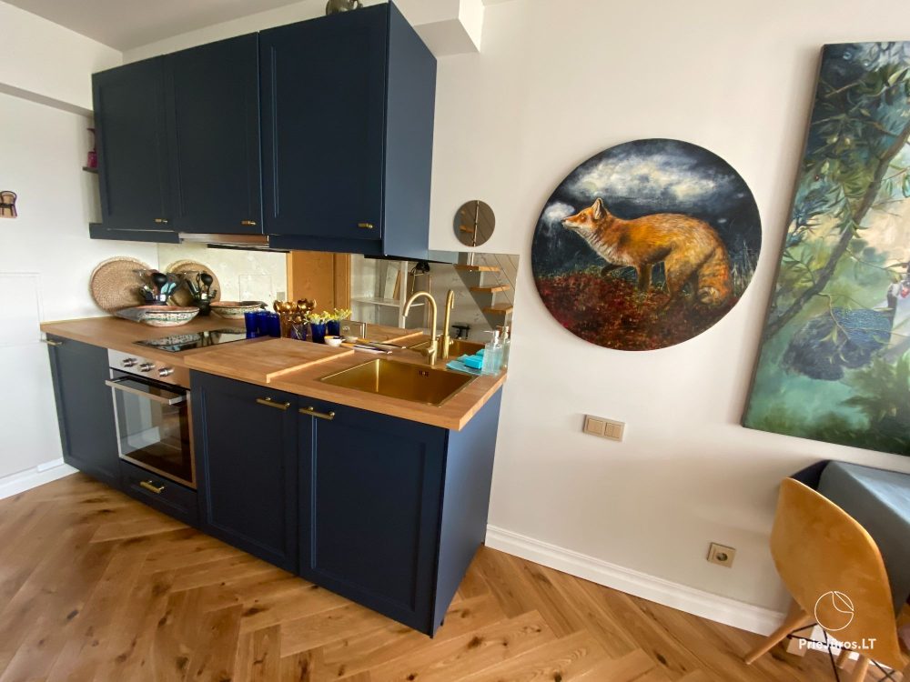 Stylowy apartament dla czterech osób w Pervalce nad brzegiem zalewu. Mieszkanie z tarasem dla dwóch osób w Juodkrante