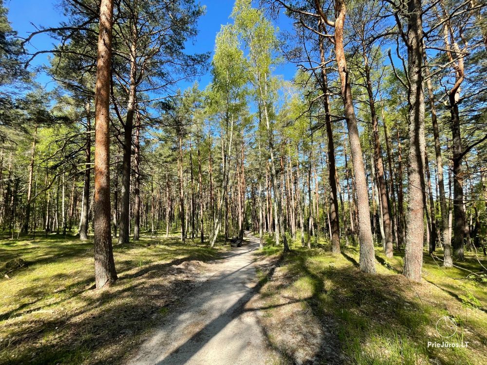 Nida family apartments - komfortowo, przytulnie i w otoczeniu natury