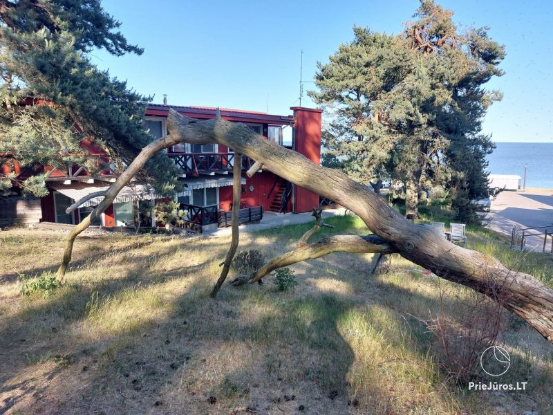 Odpoczynek w Nidzie „Pušelė”