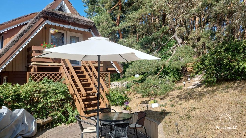 Mieszkanie do wynajęcia w Pervalce ze wszystkimi udogodnieniami i prywatnym podwórkiem - 1