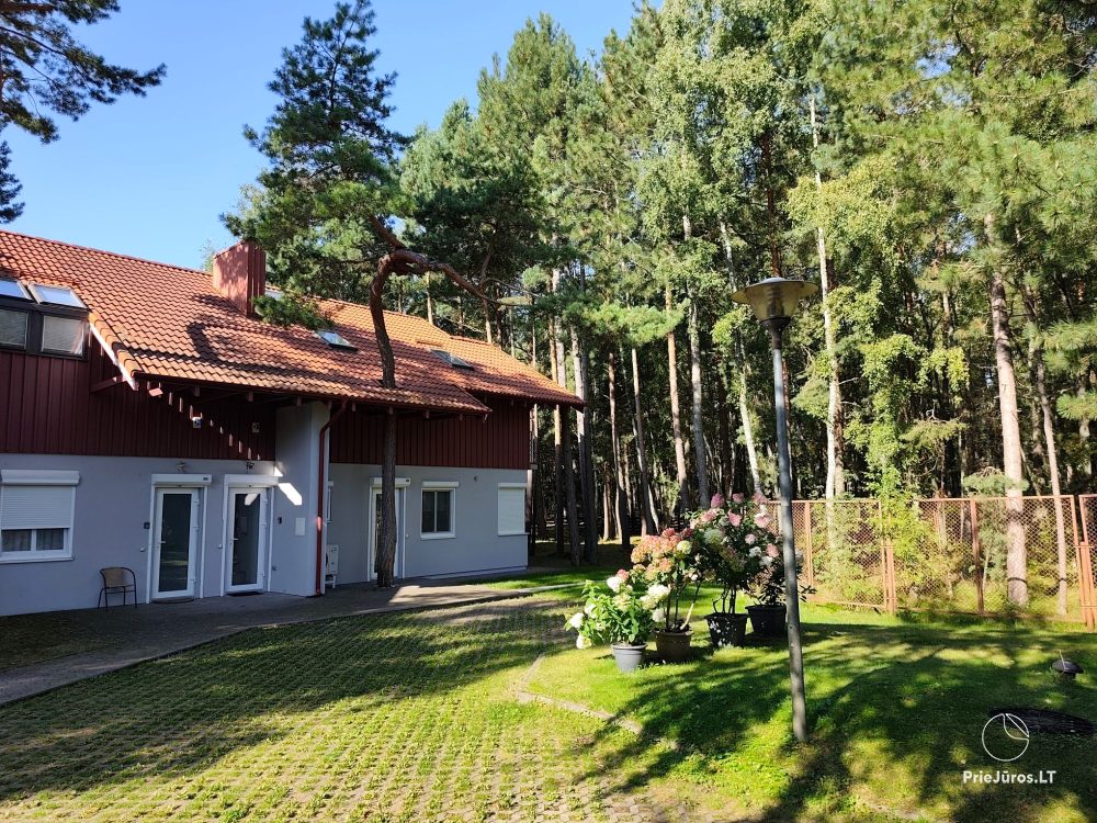 „Pušies namai” w Nidzie blisko morza