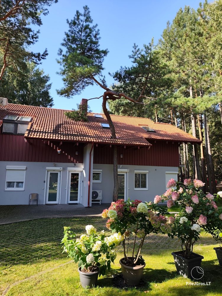 „Pušies namai” w Nidzie blisko morza