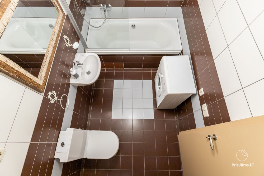 „Camelia Centre Apartment” dwupokojowe, bardzo przestronne apartamenty