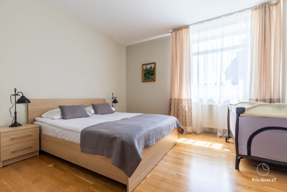 „Camelia Centre Apartment” dwupokojowe, bardzo przestronne apartamenty
