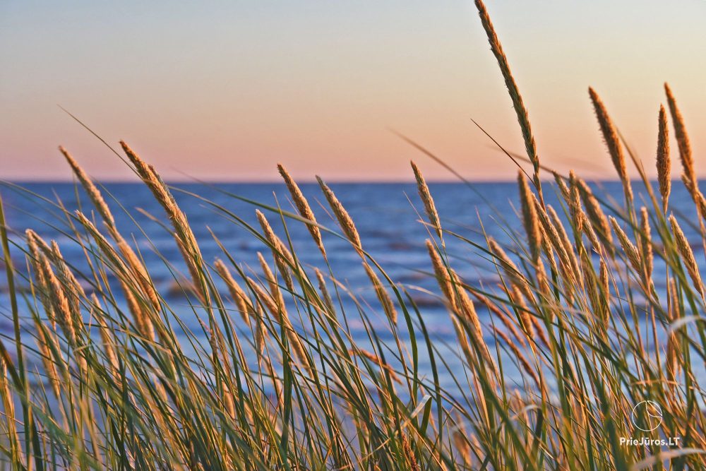 Nowe apartamenty w Połądze Birutės12 – 400 m od plaży morskiej. Oddzielne wejścia, podwórko