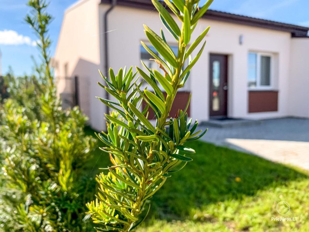 Dom do wynajęcia na przedmieściach Kłajpedy w pobliżu Ginduliai
