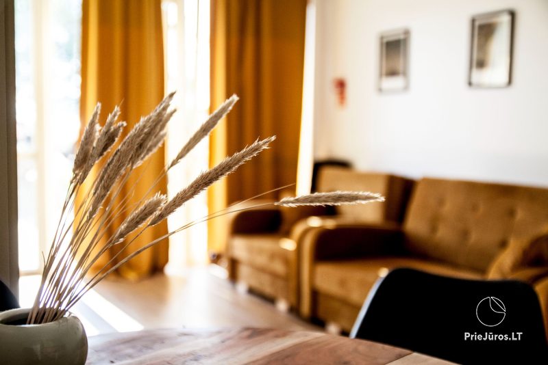 Przytulny apartament typu studio w Sventoji