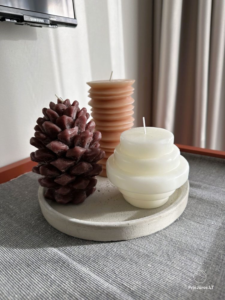 Studio Plush – Mano jura 2, Kunigiskiai