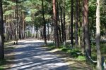 Apartament z jedną sypialnią i basenem - 7