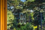 Do wynajęcia mieszkanie Birute w Połądze, przy alei Birutes, obok parku botanicznego - 2