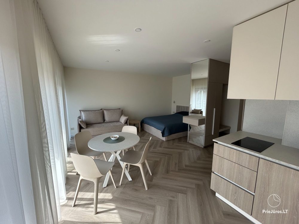 Apartament w centrum miasta Nida