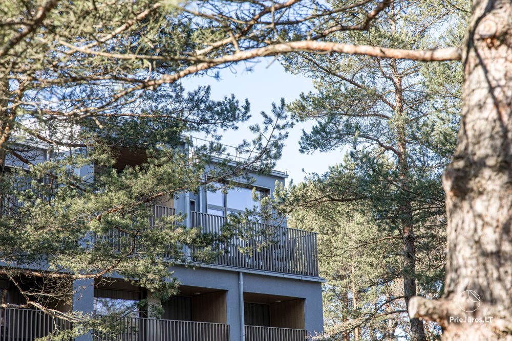 Oaza Doliny Wydm – Kunigiškiai – Apartamenty z Balkonem w Sosnowym Lesie, Zaledwie 300m od Morza
