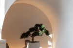 „Apartamenty Ciau Miau” Domki - apartamenty w Kunigiškės