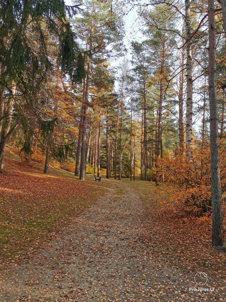 Do wynajęcia 2-pokojowe mieszkanie z prywatnym tarasem, miejscem parkingowym, komórką lokatorską.