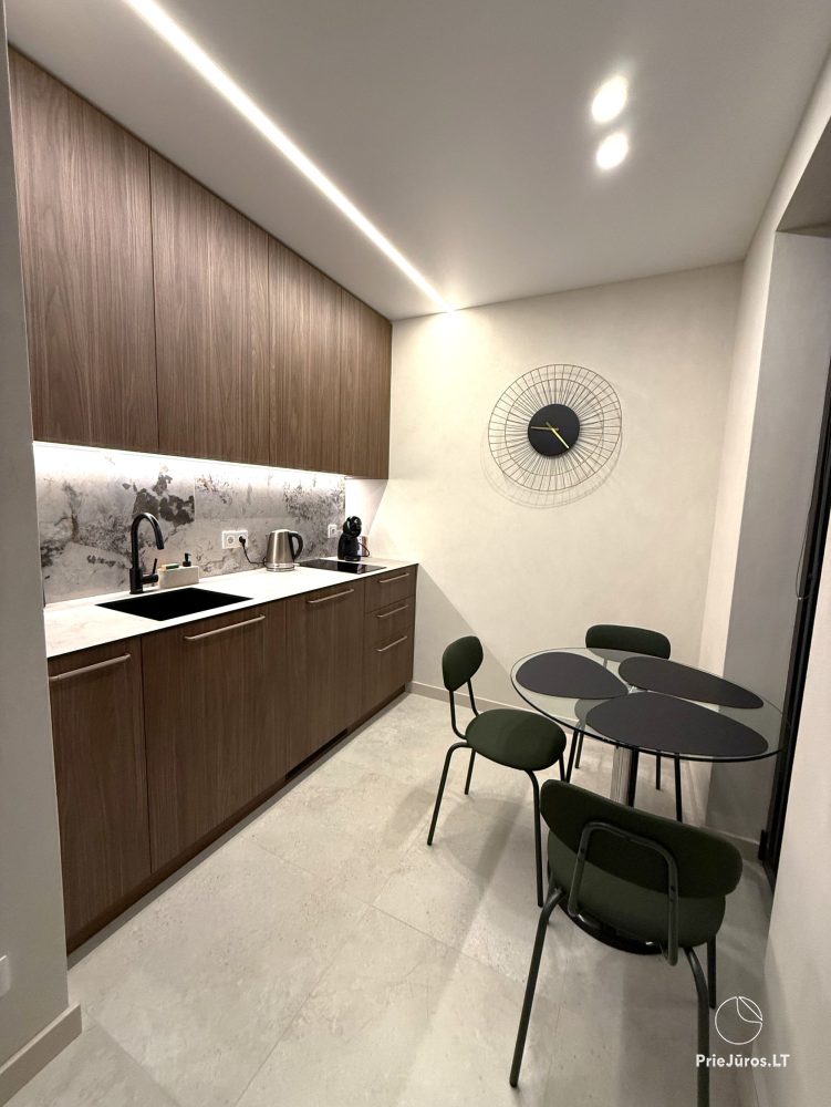 Przytulne apartamenty w Vanagupė
