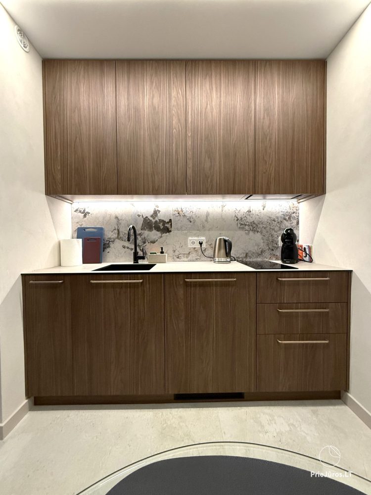 Przytulne apartamenty w Vanagupė