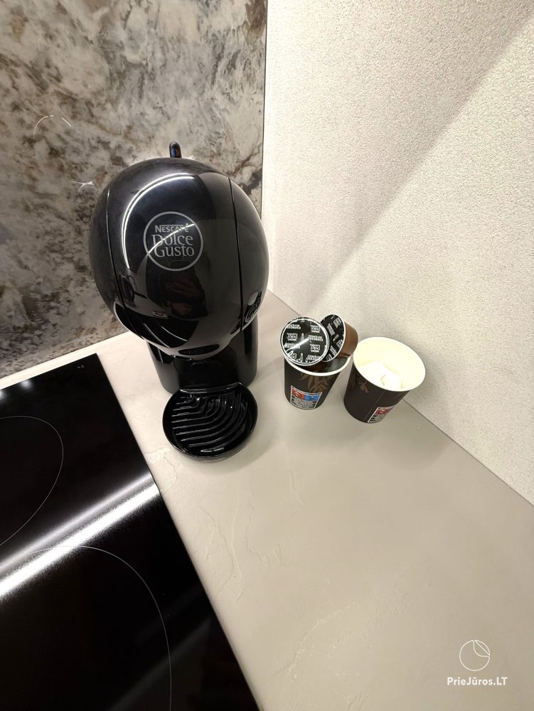Przytulne apartamenty w Vanagupė