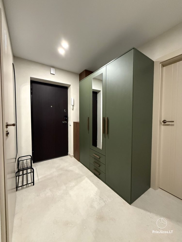 Przytulne apartamenty w Vanagupė
