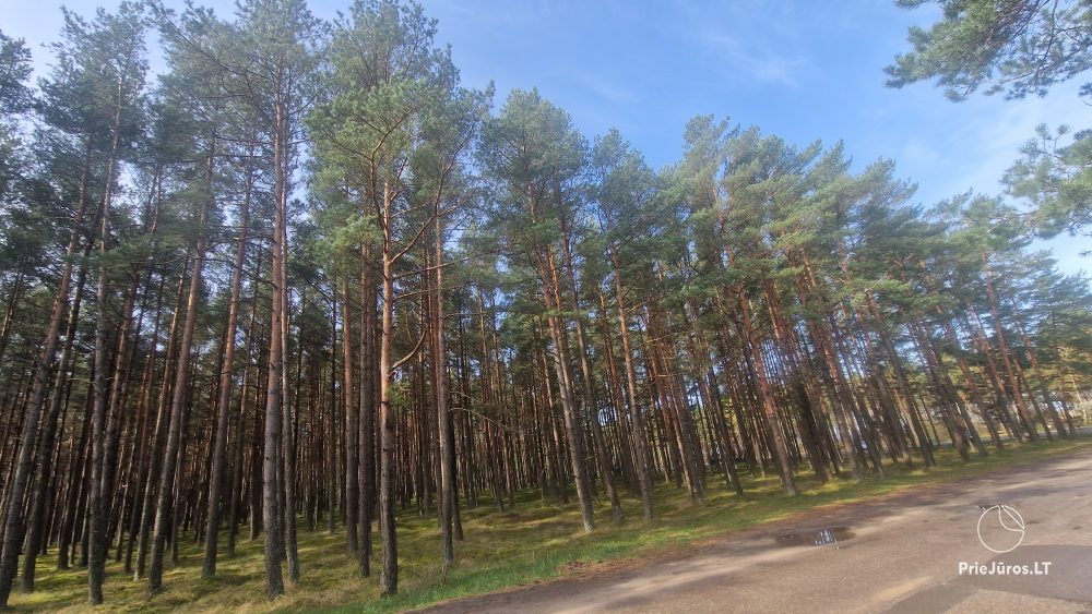 Przytulne mieszkanie do wynajęcia z tarasem i podgrzewanym basenem - 1