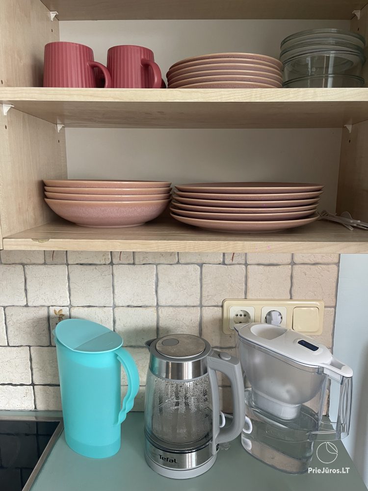 Przytulne wakacje w pobliżu Parku Birutė, apartament 2-pokojowy