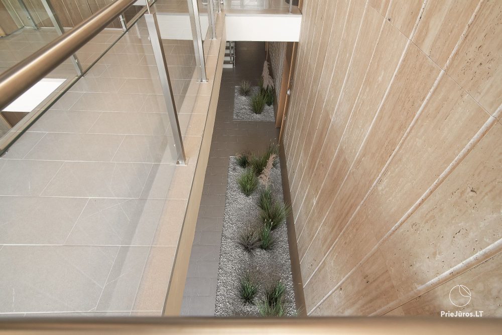 Apartamenty Daukanto8