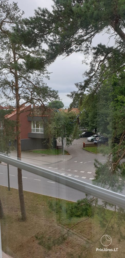 Do wynajęcia mieszkanie dwupokojowe