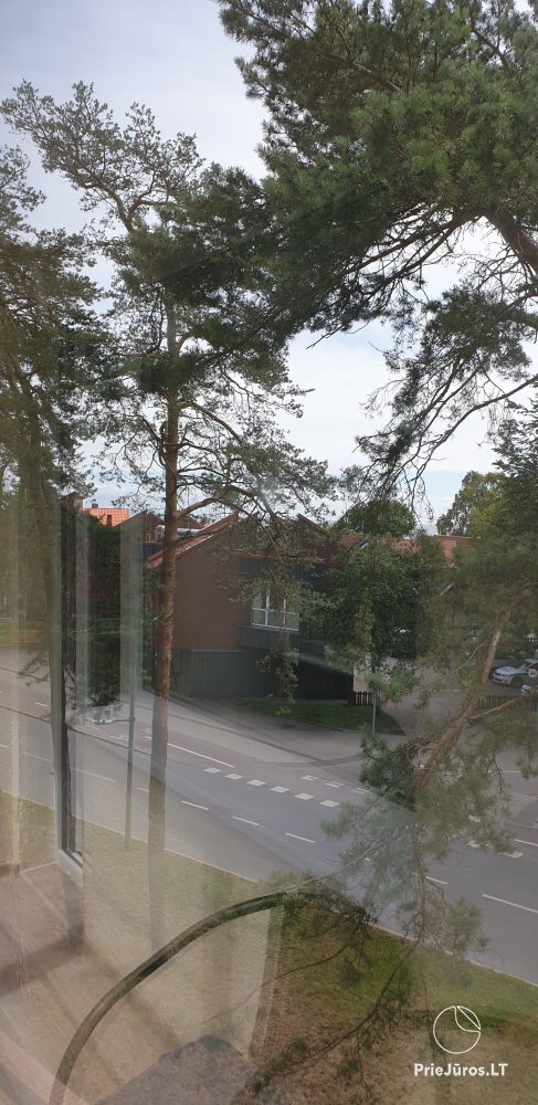 Do wynajęcia mieszkanie dwupokojowe