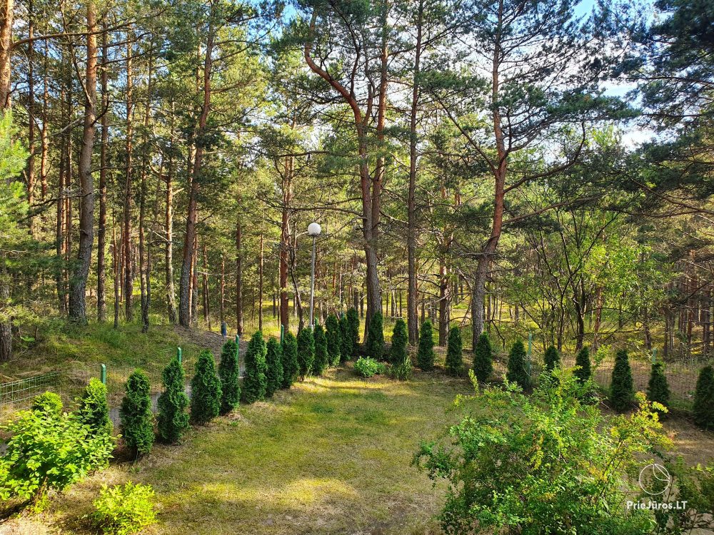 2-pok. apartamenty w Nidzie przy lesie, osobne wejście, podwórze