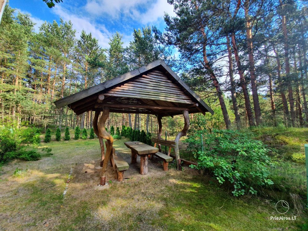 2-pok. apartamenty w Nidzie przy lesie, osobne wejście, podwórze