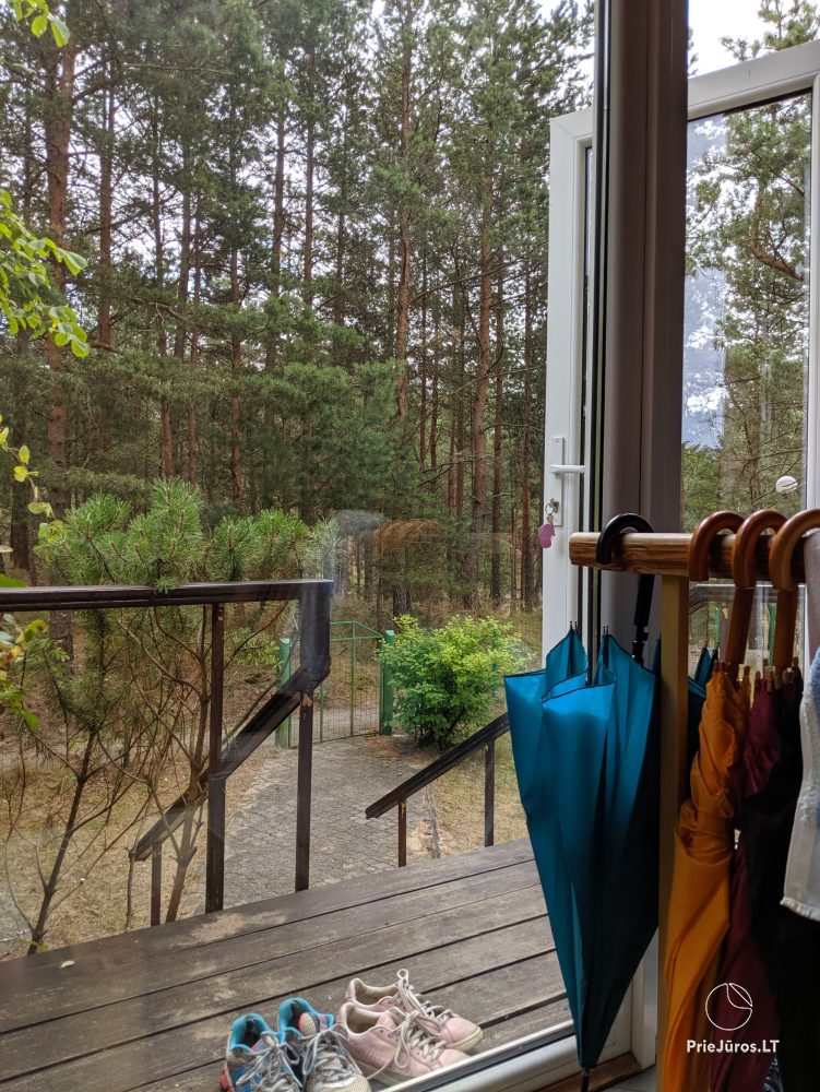 2-pok. apartamenty w Nidzie przy lesie, osobne wejście, podwórze