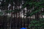Kemping w Połądze - 4