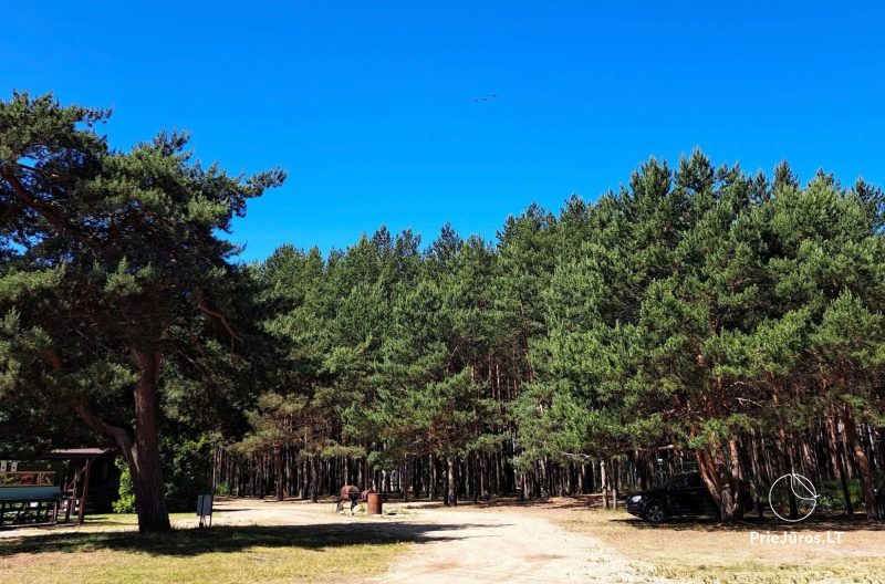 Kemping w Połądze