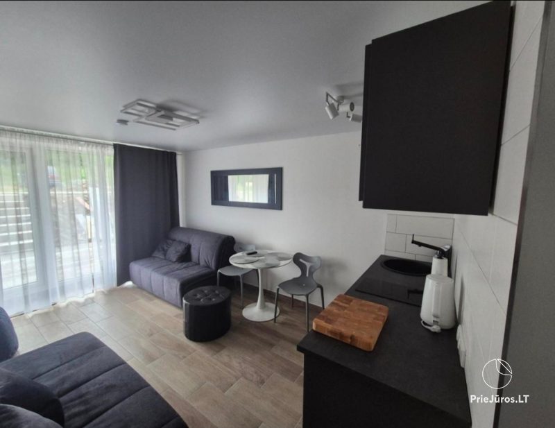 Apartament typu studio - Meguvos 9